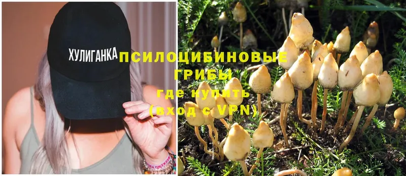 мориарти формула  OMG сайт  Боровск  Псилоцибиновые грибы MAGIC MUSHROOMS 